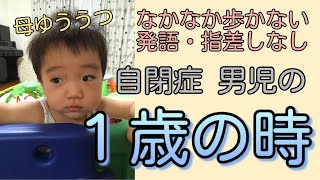 【自閉症・軽度知的障害】発語・指差しゼロ １歳のたっくん【男の子・赤ちゃん】