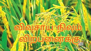 விவசாய நிலம் விற்பனைக்கு (23-02-2020) | Agriculture land for sale