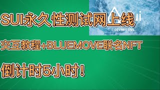 项目空投 |  SUI永久测试网上线 交互教程+bluemove联名NFT MINT倒计时5小时！  #airdrop #sui #空投教程