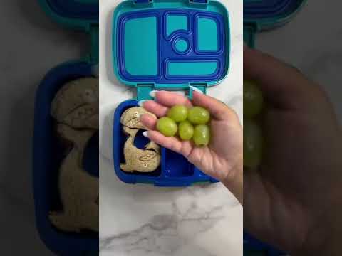 Shark рџ Viral Kidslunchbox Bentobox Lunchbox Tinatakeslunch