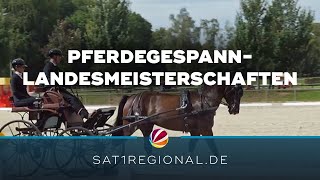 Pferdegespann-Wettbewerb: Landesmeisterschaften in Bad Segeberg