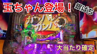 玉ちゃんプレミアム！ぱちんこ新・必殺仕置人 TURBO【兄打】【パチンコ実践】#19