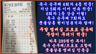 [승무패 5, 6회차 연속 적중] 축구 토토 승무패 6회차 연속 적중 성공! 승무패 6회차 1등 상금 이월 7회차 예고 / 승무패 단일 분석 채널 최단 기간 2만 구독자 달성!