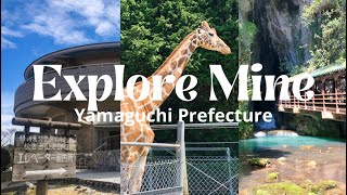 EXPLORING MINE CITY 美祢市| AKIYOSHIDAI | AKIYOSHIDO | SAFARI LAND