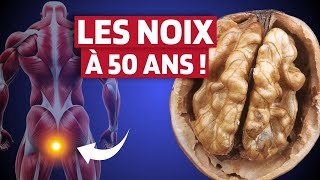 C'est pourquoi vous devriez manger des noix après 50 ans (Cela fait des merveilles) 99 % l’ignorent