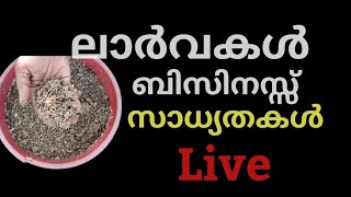 ലാർവ്വകൾ കച്ചവടം ചെയ്യാം/bsf larva business/hen farming profitable