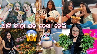 କାହା ସହ ଆଜି ଦେଖା ହେଲି 😱 #odiavlog #vlog #odia #odiafamilyvlog