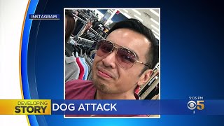 Daly City Police Forced To Shoot Dog After Vicious Mauling