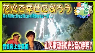 【花火で幸せになろう】山で音楽に合わせてプロ花火師と花火を上げた！リバイバル歌詞付集約編