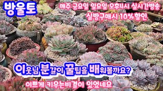 키핑장 메냐님  분갈이 꿀팁 배워볼까요?/아가들을 너무너무 잘키우셨는데 비결이 따로 있었네요/