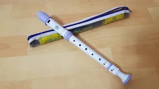 Recorder sound 1 hour