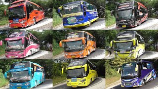 Bus Telolet Flamboyan Den Boy Bintara Bungsu Captain Cs Trans Izy Trans Bebey Riky Rendy