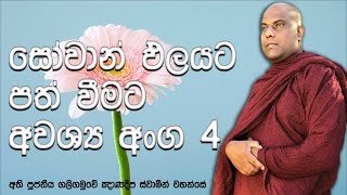 ධර්මය අවබෝධ කරගැනීමට නම්, තමා තුල පවතින අංග 2 ඔබ ප්‍රගුණ කල යුතුයි | Galigamuwe Gnanadeepa Thero