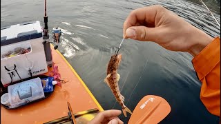 【サップフィッシング】釣れたエソを泳がせてみた