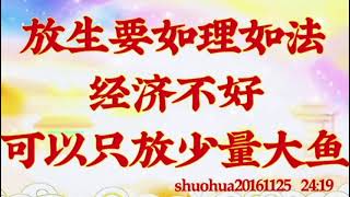 卢台长开示：放生要如理如法，经济不好可以只放少量大鱼shuohua20161125  24:19