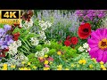 Interesting Flowers Film 4K HDR 60fps With Stress relief calming music