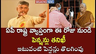 పింఛన్ తనిఖీ చేస్తున్న అధికారులా యాప్ లో ఎలాంటి ప్రశ్నలు ఉన్నాయి | NTR Bharosa pension latest news