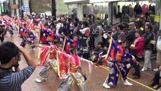 鳴子艶舞会 2015沼津よさこい東海道 前日祭 仲見世 mususukunjp