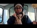 48h helsinki sightseeing winter tour