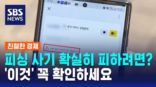 피싱 사기 확실히 피하려면?…'이것' 꼭 확인하세요 / SBS / 친절한 경제