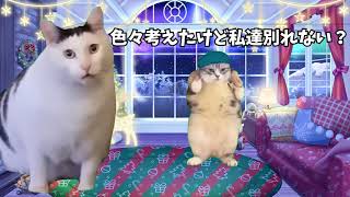 クリスマスパーティの悲劇 #猫ミーム