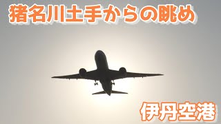 【朝の猪名川土手からの眺めも最高】伊丹空港　大阪国際空港　ITAMI  Airport　　Takeoff　離陸　Landing　着陸