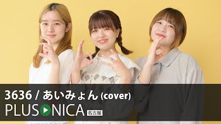 3636 / あいみょん (cover)