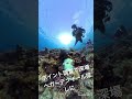 360度カメラで水中撮影青の洞窟真栄田岬ポイントでガーデンイール探し ダイビング 360度カメラ