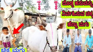 ದೊಡ್ಡ ಹಸುವನ್ನು ನಿರ್ವಹಿಸುವ ಚಿಕ್ಕ ಹೆಣ್ಣು ಮಗು || small baby handeling big cow || Baragudi village cow