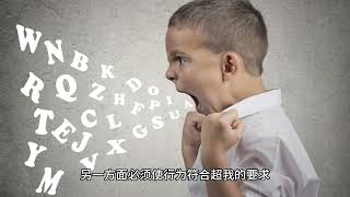 人格的结构-本我、自我、超我