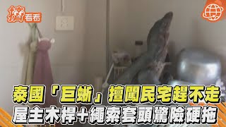 泰國「巨蜥」擅闖民宅趕不走 屋主木桿+繩索套頭驚險硬拖｜TVBS新聞｜擠看看 #Shorts