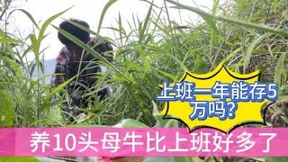 你们上班族的一年能存5万吗？养牛人可以哦！工作自由爽翻天。