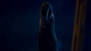 The Fourth Kind Owl scene