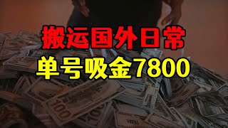 搬运国外日常视频，印度阿三奇葩操作，单号吸金7800