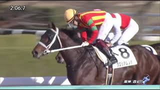 Gloria Mundi (JPN) wins race 8 at Hanshin 12/4/2021