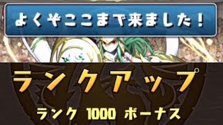 パズドラ　ランク1000になりました