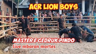 ACR LION BOYS SPESIALIS GEDRUK PINDO‼️LIVE MBARAN MORTES TUMPANG ‼️