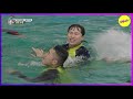 hot clips master in the house special forces seunggi s swimming skill💦 eng sub