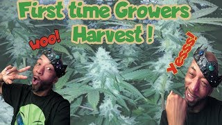 First Time Growers Harvest!