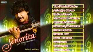 Rajhesh Vaidhya Veena | A Tribute To Isaignani Ilayaraja - Instrumental | Tamil Film Super hit Songs