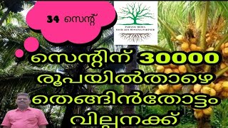 34 സെന്റ് തെങ്ങിൻ തോട്ടം ചെറിയ വിലക്ക് വില്പനക്ക് ഉണ്ട്