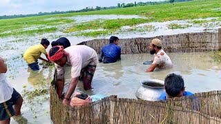 গ্রামীণ পরিবেশে গ্রামের মানুষের বিলে অসাধারণ মাছ ধরার ভিডিও দেখে মন জুড়াল। best new village fishing.