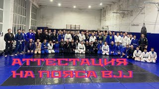 Аттестация на пояса 10.01.2025 | BJJ Красноярск TEAM STRELA