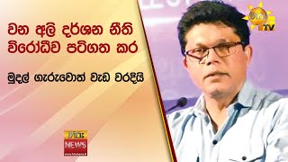 වන අලි දර්ශන නීති විරෝධීව පටිගත කර මුදල් ගැරුවොත් වැඩ වරදියි  - Hiru News