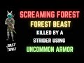 D.O.Z. Survival: Forest Beast killed using an uncommon armor set!