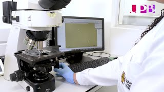 Microscopía óptica | Laboratorios UPB