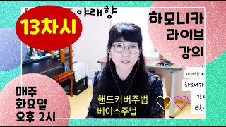 #야래향  #핸드비브라토주법 #베이스주법설명 #영등포평생학습관 #하모니카Live강의 13차시