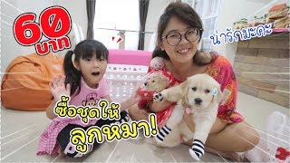 ชุดลูกหมา 60 บาท น่ารักสุดๆ | แม่ปูเป้ เฌอแตม Tam Story