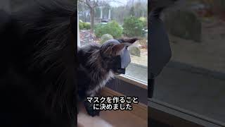 猫のようだけど、実はバットマンみたい！