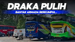 STJ‼️ARMADA KUMPUL,DRAKA SUDAH PULIH 🔥🔥 || PESONA PREMIUM ARMADA PARIWISATA 🔥